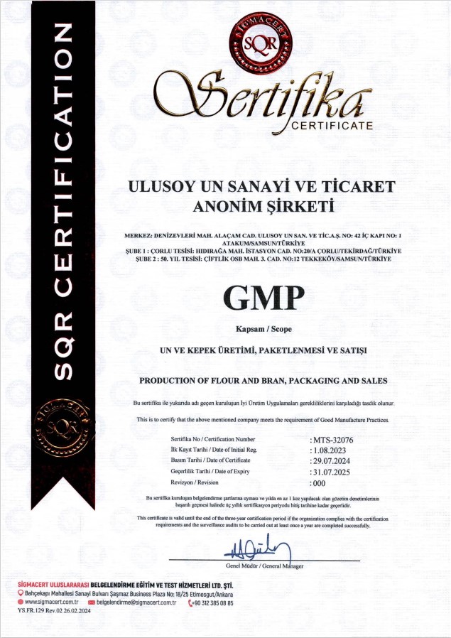 ULUSOY UN _ GMP